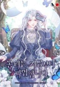 The Princess is Going on Strike